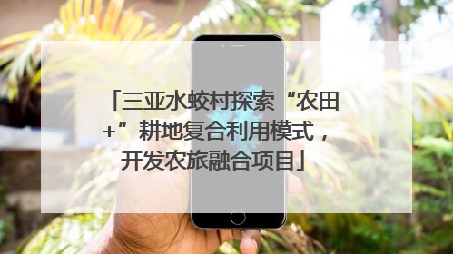 三亚水蛟村探索“农田+”耕地复合利用模式，开发农旅融合项目
