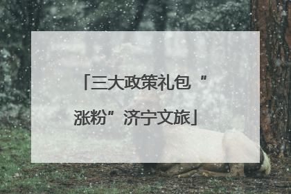 三大政策礼包“涨粉”济宁文旅