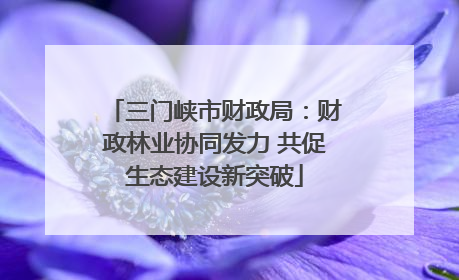 三门峡市财政局：财政林业协同发力 共促生态建设新突破