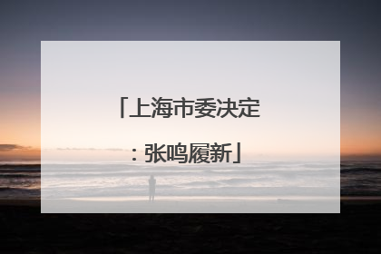 上海市委决定：张鸣履新