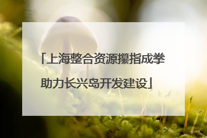 上海整合资源攥指成拳助力长兴岛开发建设