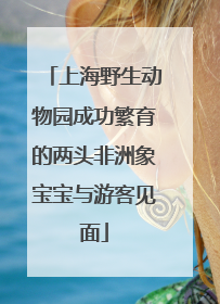 上海野生动物园成功繁育的两头非洲象宝宝与游客见面