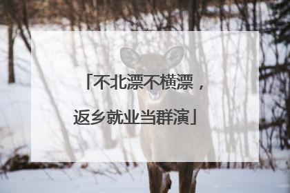 不北漂不横漂，返乡就业当群演