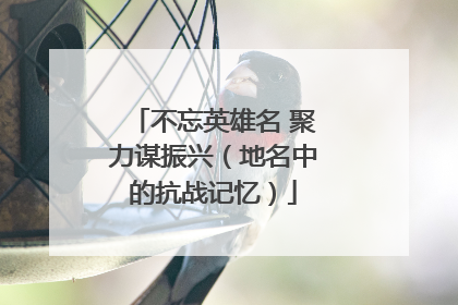 不忘英雄名 聚力谋振兴（地名中的抗战记忆）
