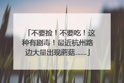 不要捡！不要吃！这种有剧毒！最近杭州路边大量出现蘑菇……
