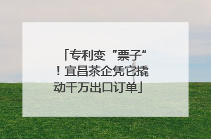 专利变“票子”！宜昌茶企凭它撬动千万出口订单