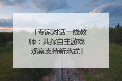 专家对话一线教师：共探自主游戏观察支持新范式