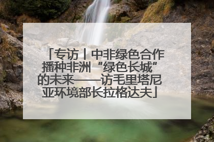 专访丨中非绿色合作播种非洲“绿色长城”的未来——访毛里塔尼亚环境部长拉格达夫