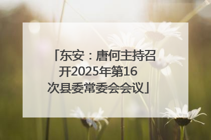 东安：唐何主持召开2025年第16次县委常委会会议