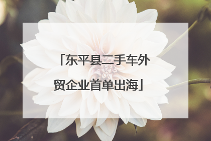 东平县二手车外贸企业首单出海