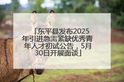东平县发布2025年引进急需紧缺优秀青年人才初试公告，5月30日开展面谈