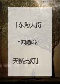 东海大街“四瓣花”天桥亮灯