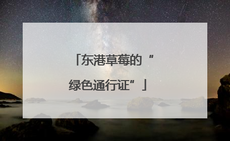 东港草莓的“绿色通行证”