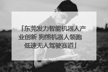 东莞发力智能机器人产业创新 狗熊机器人领跑低速无人驾驶赛道