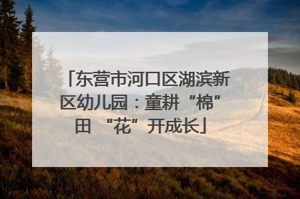 东营市河口区湖滨新区幼儿园：童耕“棉”田 “花”开成长