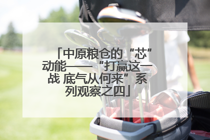 中原粮仓的“芯”动能——“打赢这一战 底气从何来”系列观察之四