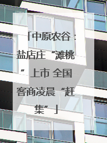 中原农谷：盐店庄“滩桃”上市 全国客商凌晨“赶集”