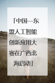 中国—东盟人工智能创新应用大赛在广西北海启动