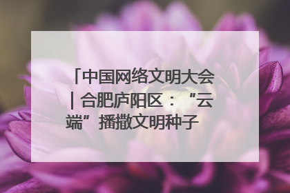 中国网络文明大会｜合肥庐阳区：“云端”播撒文明种子 共建清朗网络空间