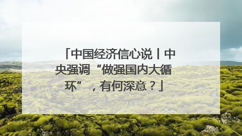 中国经济信心说丨中央强调“做强国内大循环”，有何深意？