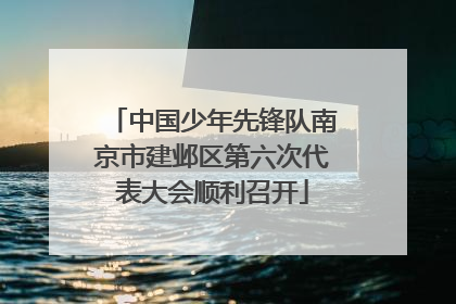 中国少年先锋队南京市建邺区第六次代表大会顺利召开