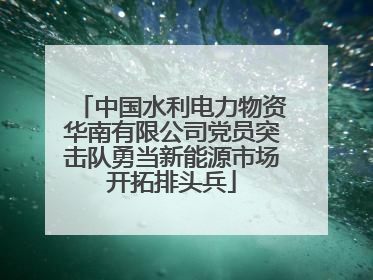 中国水利电力物资华南有限公司党员突击队勇当新能源市场开拓排头兵