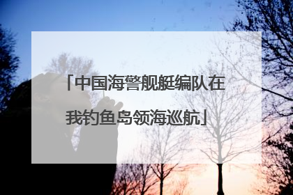 中国海警舰艇编队在我钓鱼岛领海巡航