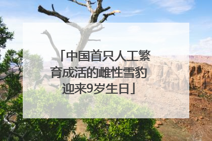 中国首只人工繁育成活的雌性雪豹迎来9岁生日