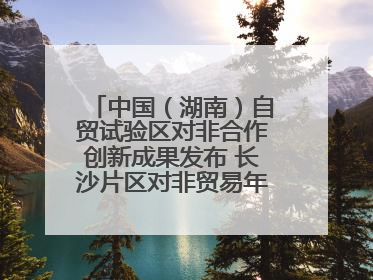 中国（湖南）自贸试验区对非合作创新成果发布 长沙片区对非贸易年均增长141%