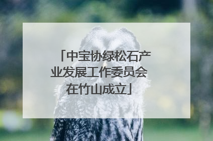 中宝协绿松石产业发展工作委员会在竹山成立