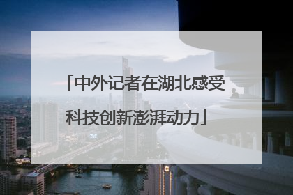 中外记者在湖北感受科技创新澎湃动力