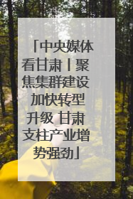 中央媒体看甘肃丨聚焦集群建设 加快转型升级 甘肃支柱产业增势强劲