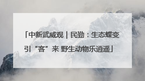 中新武威观｜民勤：生态蝶变引“客”来 野生动物乐逍遥