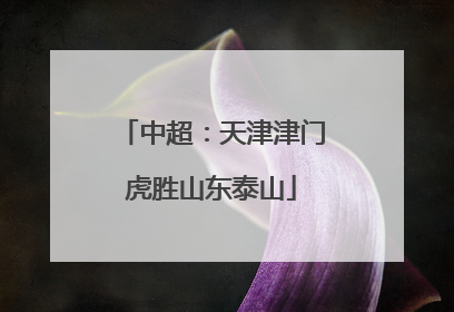 中超：天津津门虎胜山东泰山