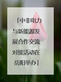 中非电力与新能源发展合作交流对接活动在岳阳举办
