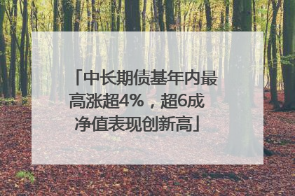 中长期债基年内最高涨超4%，超6成净值表现创新高