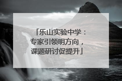 乐山实验中学：专家引领明方向，课题研讨促提升