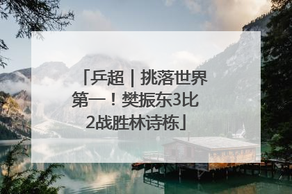 乒超｜挑落世界第一！樊振东3比2战胜林诗栋
