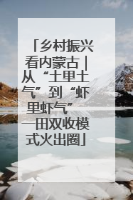 乡村振兴看内蒙古｜从“土里土气”到“虾里虾气” 一田双收模式火出圈