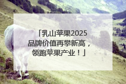 乳山苹果2025品牌价值再攀新高，领跑苹果产业！