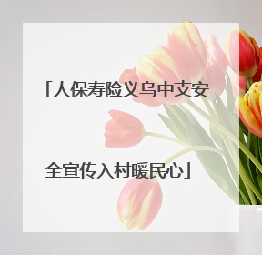 人保寿险义乌中支安全宣传入村暖民心