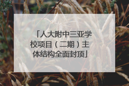 人大附中三亚学校项目（二期）主体结构全面封顶
