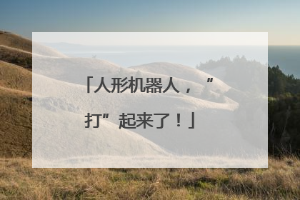 人形机器人，“打”起来了！