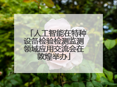 人工智能在特种设备检验检测监测领域应用交流会在敦煌举办