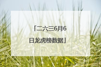 二六三6月6日龙虎榜数据