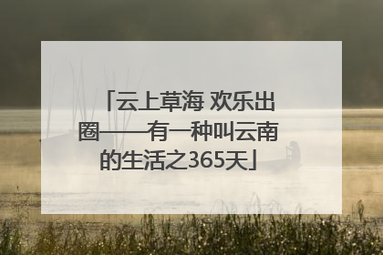云上草海 欢乐出圈——有一种叫云南的生活之365天