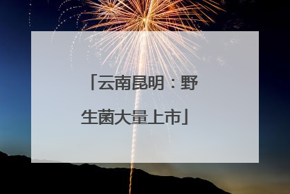 云南昆明：野生菌大量上市