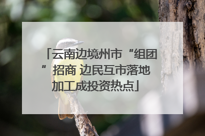 云南边境州市“组团”招商 边民互市落地加工成投资热点