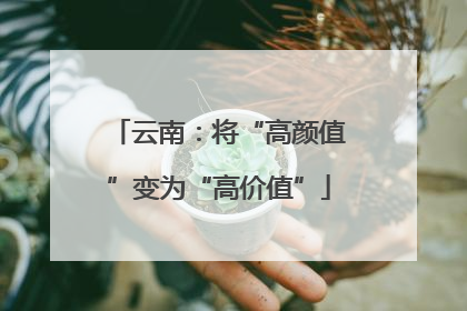 云南：将“高颜值”变为“高价值”