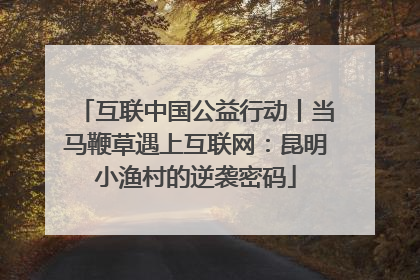 互联中国公益行动丨当马鞭草遇上互联网：昆明小渔村的逆袭密码